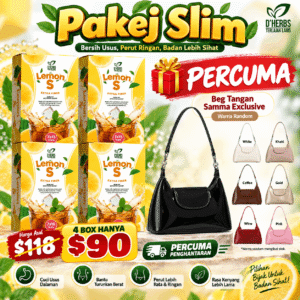 LEMON S 4 Box + Beg Samma